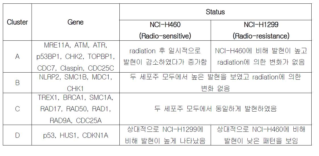 폐암 세포주에 서 in vitro radiation에 따른 시간별 gene expression 변화