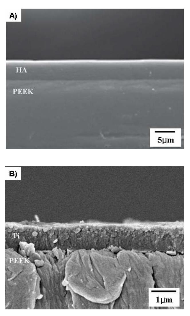 Bioactive surface on PEEK의 단면 전자현미경 사진