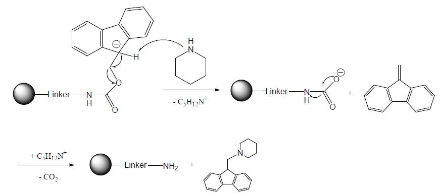 Piperidine에 의한 Fmoc 보호기의 분해 메카니즘