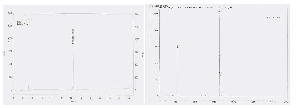 HPLC Typical Chromatogram