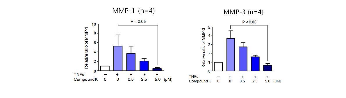활막세포에서 TNFα에 의한 MMP-1 및 MMP-3 분비에 관한 Compound K의 효과 평가. 농도 의존적으로 MMP-1과 MMP-3의 분비가 유의하게 감소됨 (n = 4).