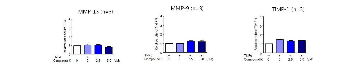 관절염 활막세포에서 TNFα에 의한 MMP-13, MMP-9 및 TIMP-1에 관한 Compound K의 효과 평가 (n = 3). TNFα에 의한 MMP-9, MMP-13과 TIMP-1의 분비는 유도되지 않았으며 기저수준의 MMP-9, MMP-13과 TIMP-1의 분비도 Compound K에 의해 영향 받지 않음.