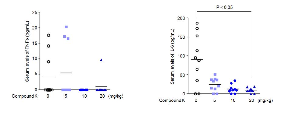 콜라겐 유도성 관절염 모델의 혈중 TNFα 및 IL-6 농도에 미치는 Compound K의 영향 (각 군당 n=10). IL-6 혈중 농도가 유의하게 감소함.