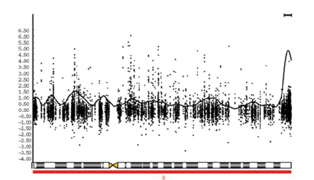 DMH 결과 염색체 상의 CpG 메틸화 변화