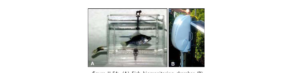 (A) Fish biomonitoring chamber (B)Platform for continuous flow monitoring