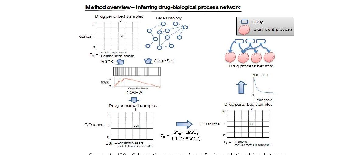Schematic diagram for inferring relationships betweenbiological process and drugs