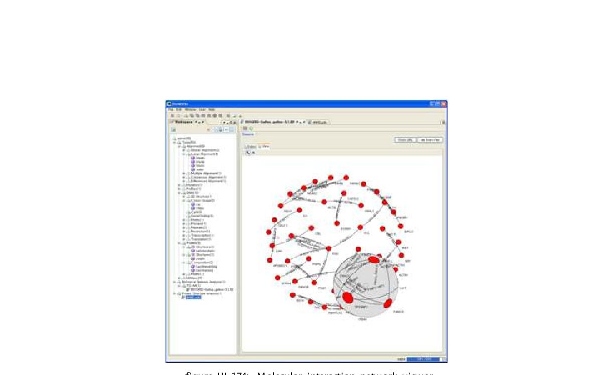 Molecular interaction network viewer