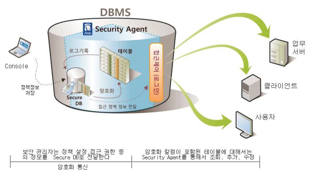 D ’Amo Conceptual Diagram