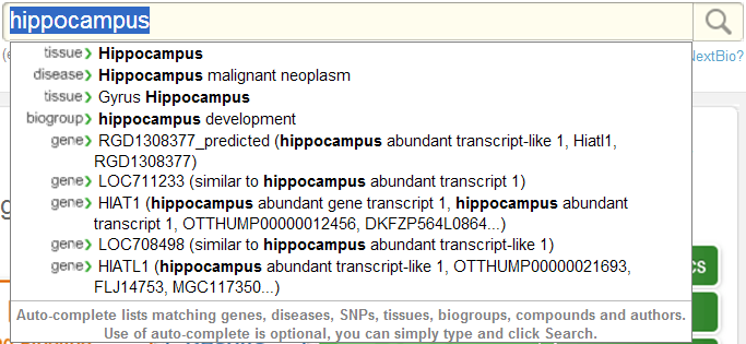 Categorized search term auto-complete suggestion