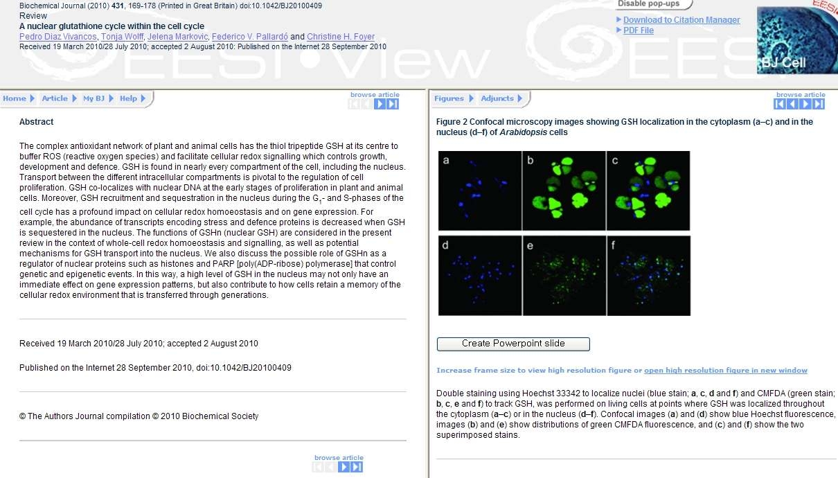 Biochemical Journal provides a service of the Full Text