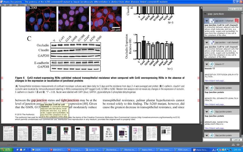 Utopia Document to view a PDF file using- Revision with annotated by the editor, click the word