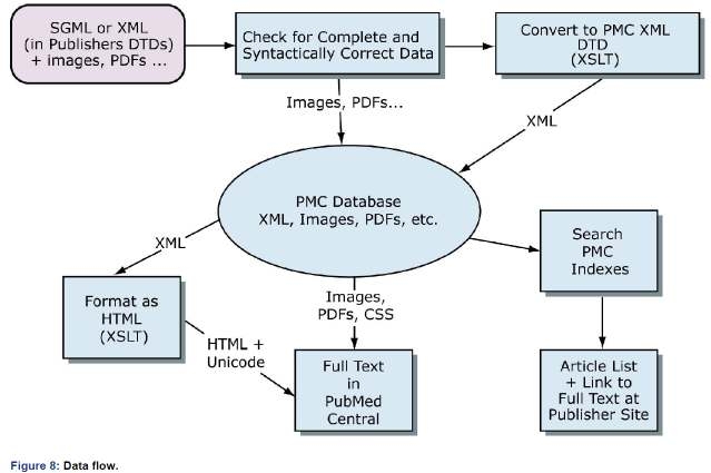 PMC XML data flow
