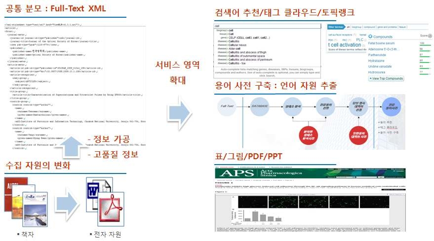 Additional information in full text information extraction and service support