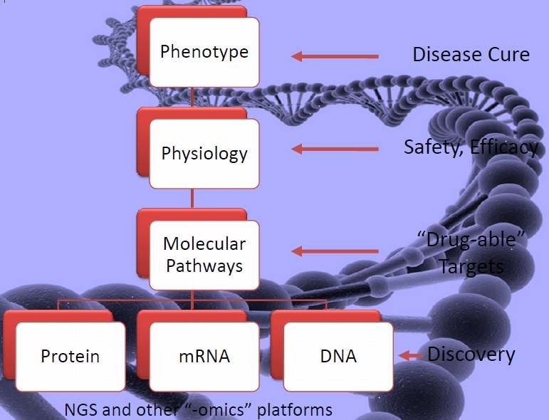 Figure 5 Drug development framework (Adapted from Molecular Tri-Conference 2010, USA)