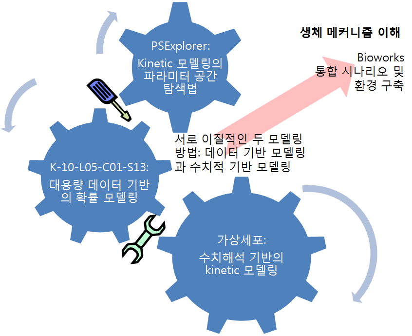 Figure 6 Integration of the two different modelling approaches