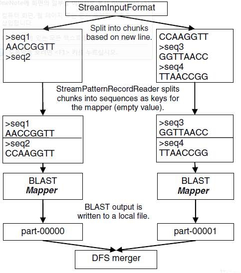 Parallel Processing of BLAST with MapReduce