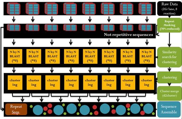 Primary FCLA Strategy