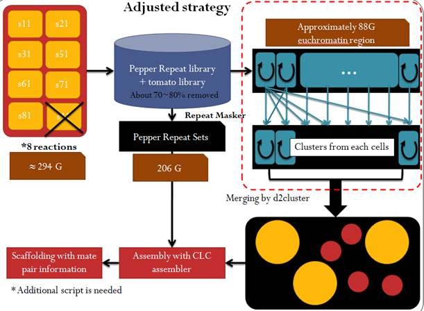 FCLA Strategy