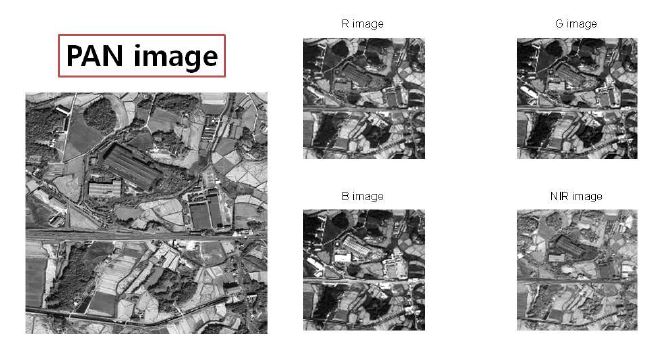 Figure 2-2-13 R, G, B, NIR의 다중밴드영상들과 Pan 영상