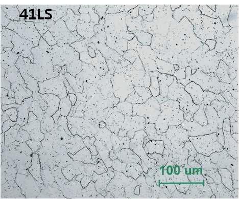 41LS 원료의 미세조직