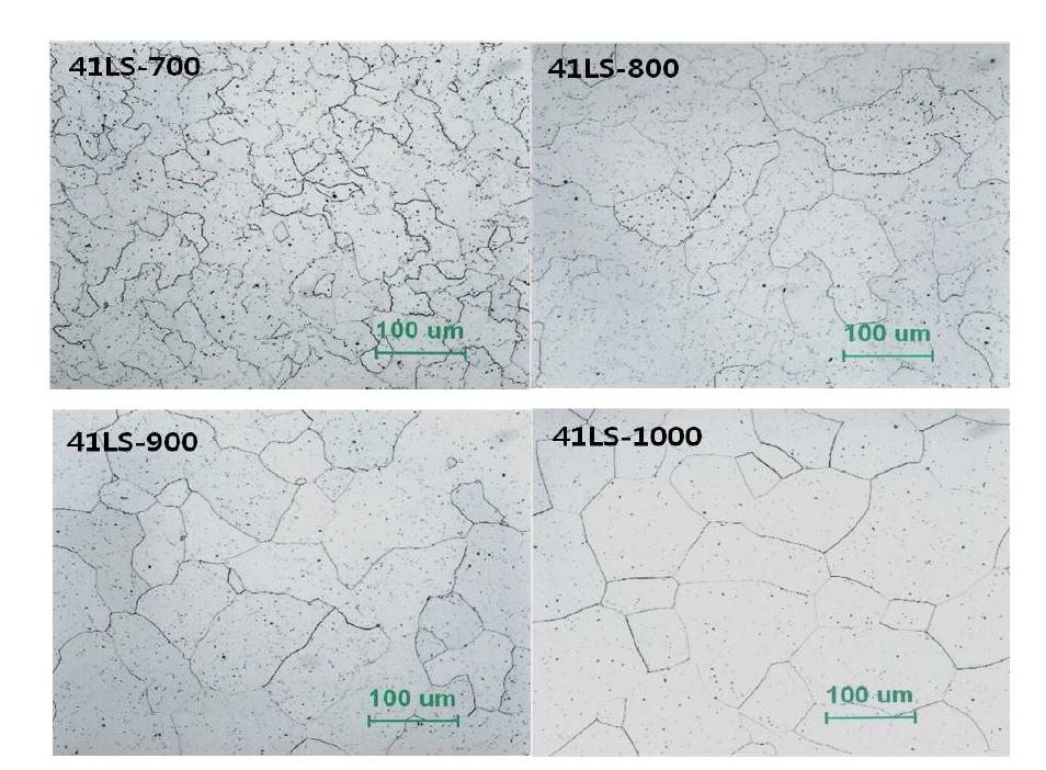 41LS의 annealing 온도별 grain size