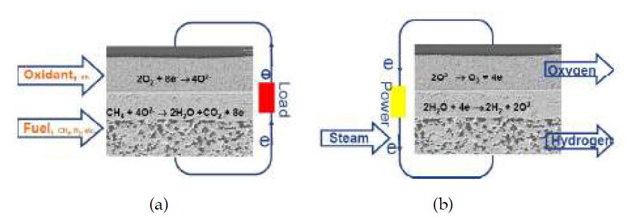 (a) SOFC에 의한 발전 및 (b) SOEC에 의한 수전해 개념도