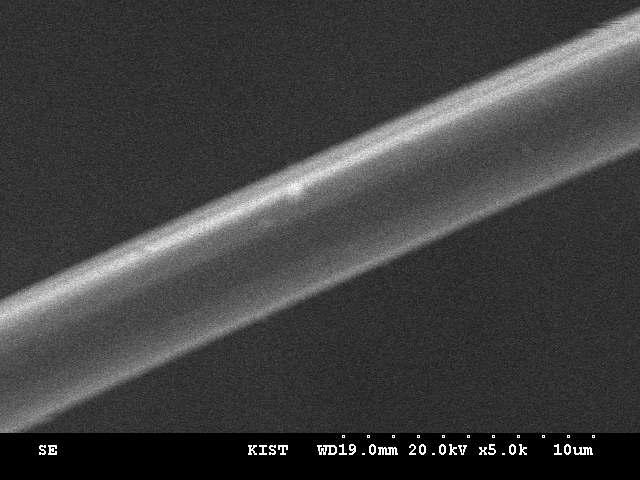 Toray사 HM 탄소섬유 표면 SEM 사진