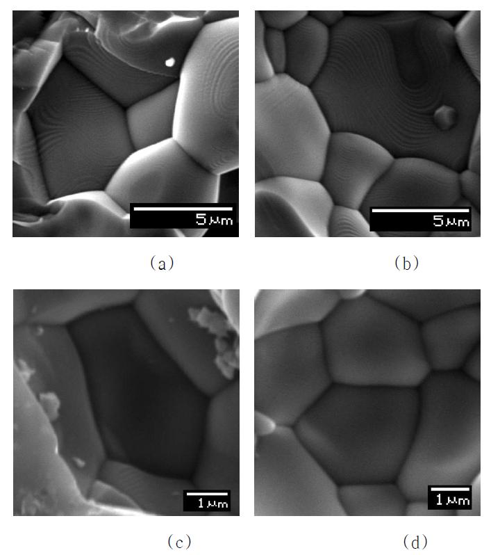 LSMFCN 소결체의 미세구조