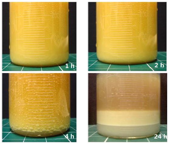 시간에 따른 에멀전 분리 형태