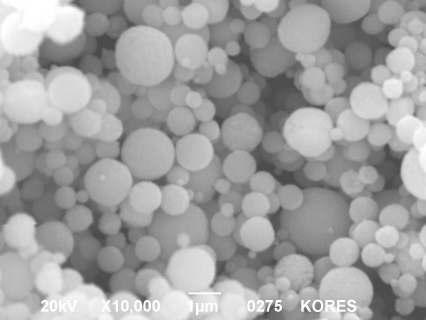 SEM Images of prepared Cobalt particles under conditions