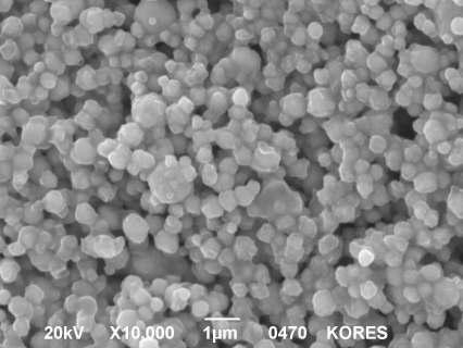 SEM Images of prepared Nickel particles under conditions