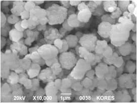 SEM Images of prepared Cobalt particles under conditions