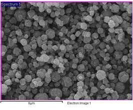 SEM Images of prepared Cobalt particles under conditions