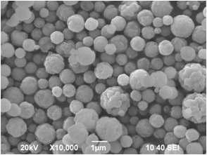 SEM Images of prepared Nickel particles under conditions