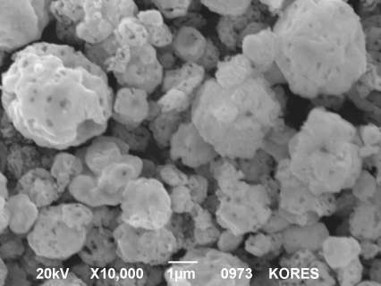 SEM Images of prepared Cobalt particles under conditions