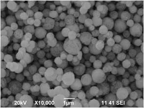 SEM Images of prepared Nickel particles under conditions