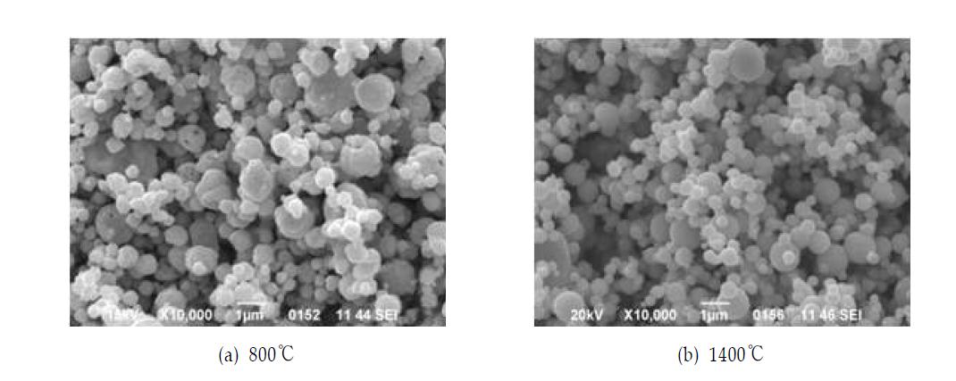 SEM Images of prepared Cobalt Particles at different temperatures