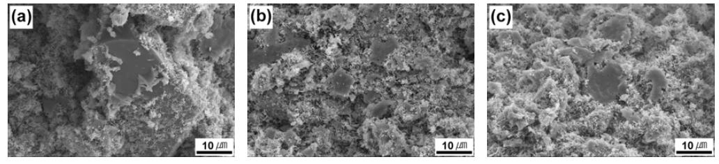 Effect of starting SiC particle size on microstructure of SNBSC ceramics after nitridation at 1450℃ for 1 h in nitrogen