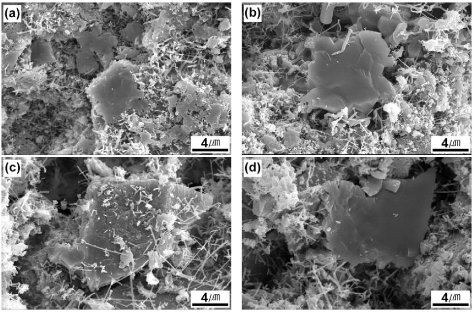 Microstructure of SNBSC-45 specimens after nitridation at 1450℃ for various times