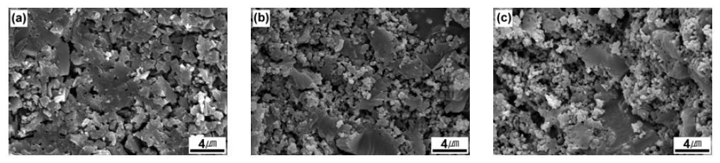 Typical fracture surfaces of porous mullite-bonded SiC ceramics fabricated from various SiC powders