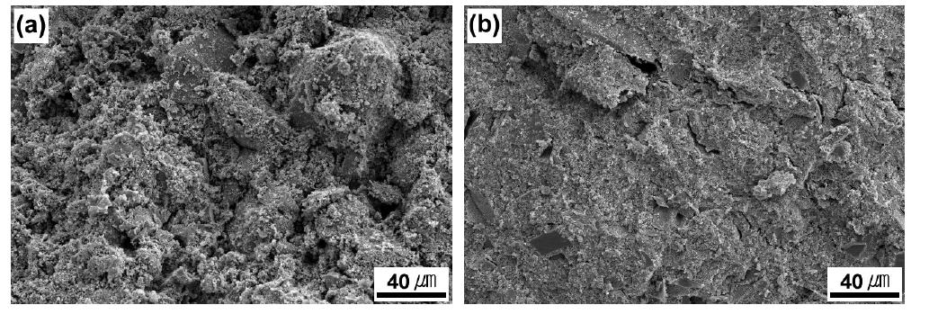 Typical fracture surfaces of porous mullite-bonded SiC ceramics sintered at 1550℃ for (a) 2 h and (b) 6 h in air