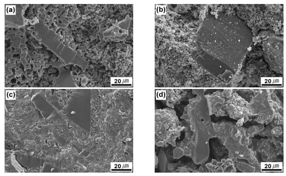 Typical fracture surfaces of porous mullite-bonded SiC ceramics sintered at 1550℃ for 2 h in air with various aluminum sources