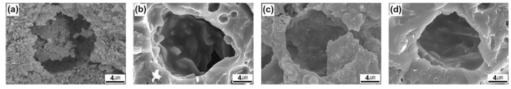 Typical pore morphology and microstructure of the porous mullite-bonded SiC (MBSC) ceramics sintered at 1450℃ for 2h