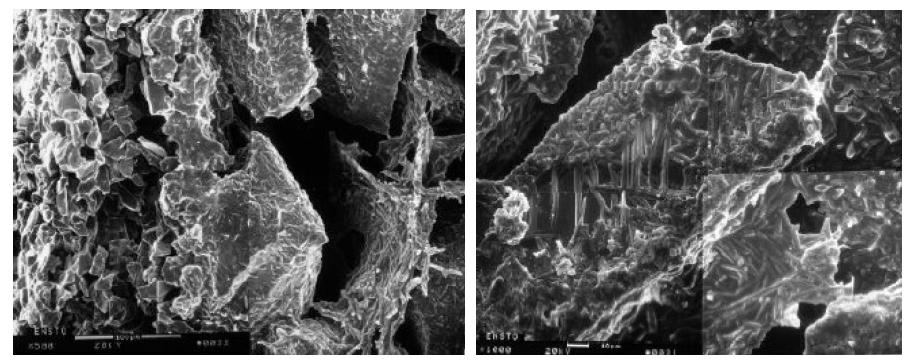 Ensto Ceramics OY 사의 mullite bonded alumina 필터 (좌측) 및알루미나 입자 표면을 따른 뮬라이트 형성 (우측)