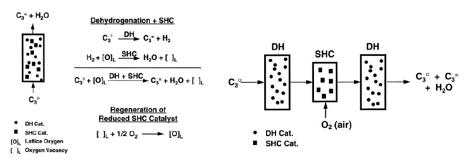 PDH와 SHC가 결합된 산화환원 반응의 공정 모식도.
