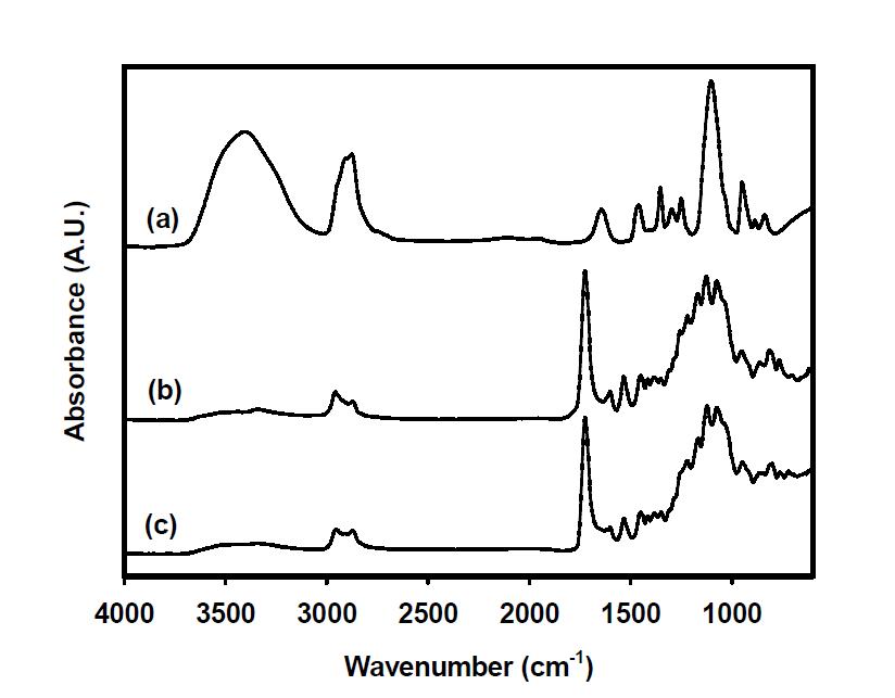FT-IR 스펙트럼 (a) PEG, (b) PUA 수지, (c) 코팅 직물.