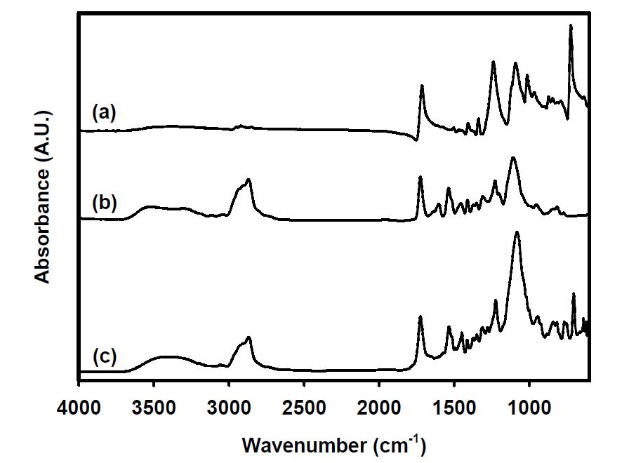 FT-IR 스펙트럼 (a) PET 직물, (b) PUA100G 수지, (c) 코팅된 직물.