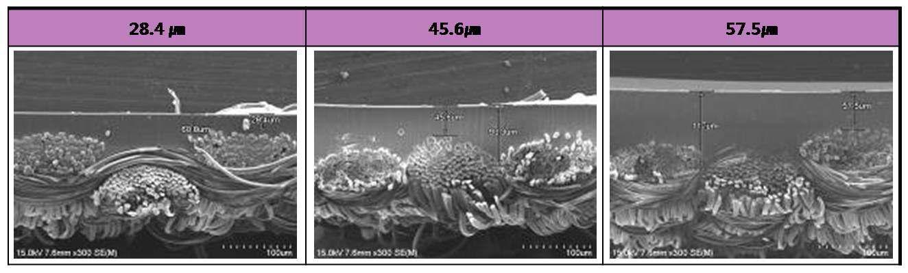 코팅막 두께에 따른 직물 단면 이미지