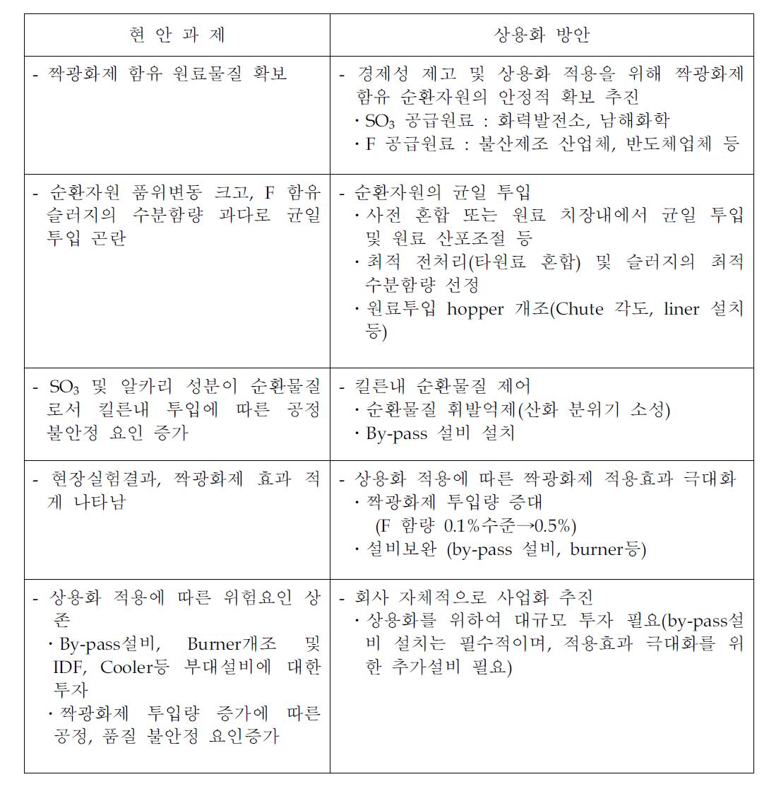 상용화를 위한 현안과제 및 상용화 방안