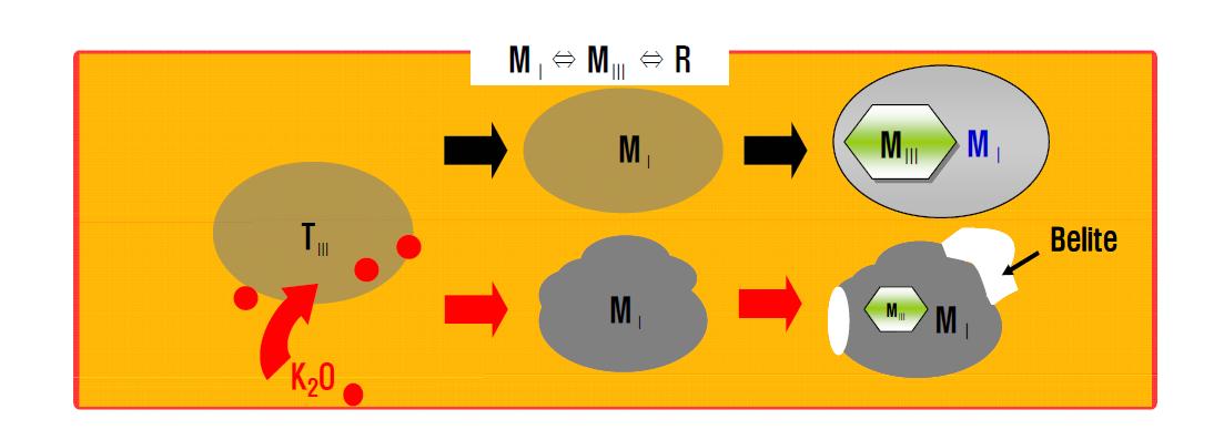 Diagram of the alite